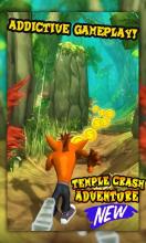 Temple Crash Jungle 3D截图4