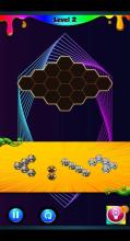 Chad Wild Clay Hexa Puzzle截图1