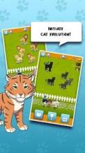 Cat Safari 2截图2