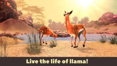 Llama Wild Life Simulator 3D截图1