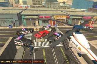 Crazy Police Car Chase : Highway Police Pursuit截图3