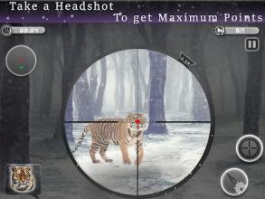 Animal Sniper Hunting Expert Multilevel Shooting截图3