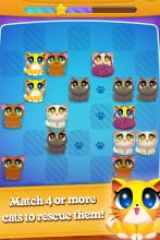 Cute Cats Match 4截图2