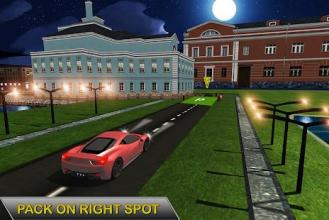 Real Car Parking Night Driving 3D截图2