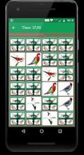 Bird Memory Matching Game截图3