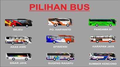 PO Haryanto Bus Indonesia 2018截图4