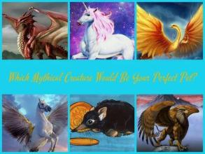 Test: Who is your magical animal?截图5