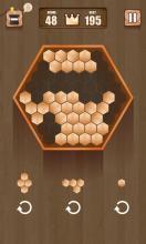 Wooden 100 Block Puzzle截图2