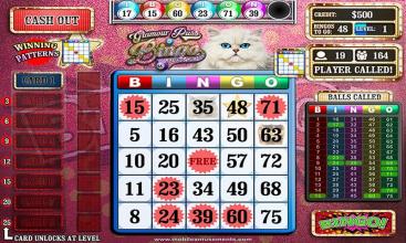 Glamour Puss Bingo Kitty Cash Cats FREE截图1