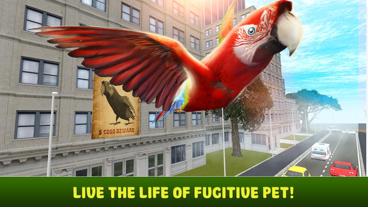 City Bird Parrot Simulator 3D截图1