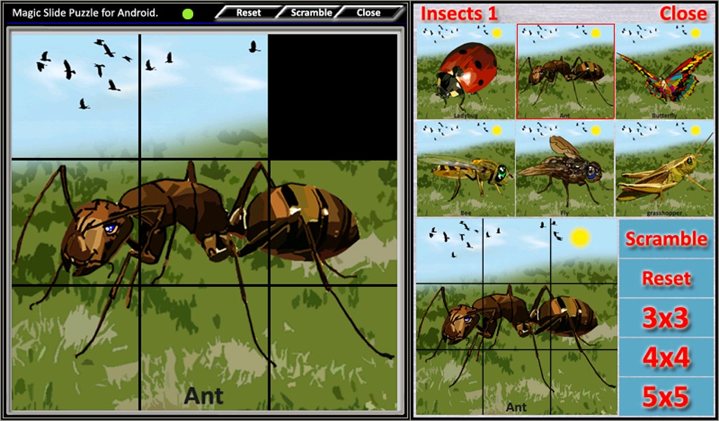 Magic Slide Puzzle Insects 1截图3