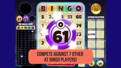 Bingo World截图3