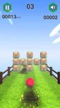 Crazy Ball Racing :3d Free Racing Game截图3