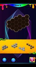 Chad Wild Clay Hexa Puzzle截图5