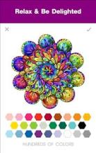 Adult Coloring Books Color By Number截图3