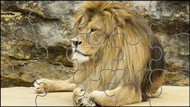 Lion Jigsaw Puzzle截图1