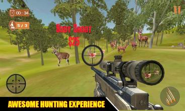 Deer Sniper Hunter: Wild Animal Hunting Game截图5