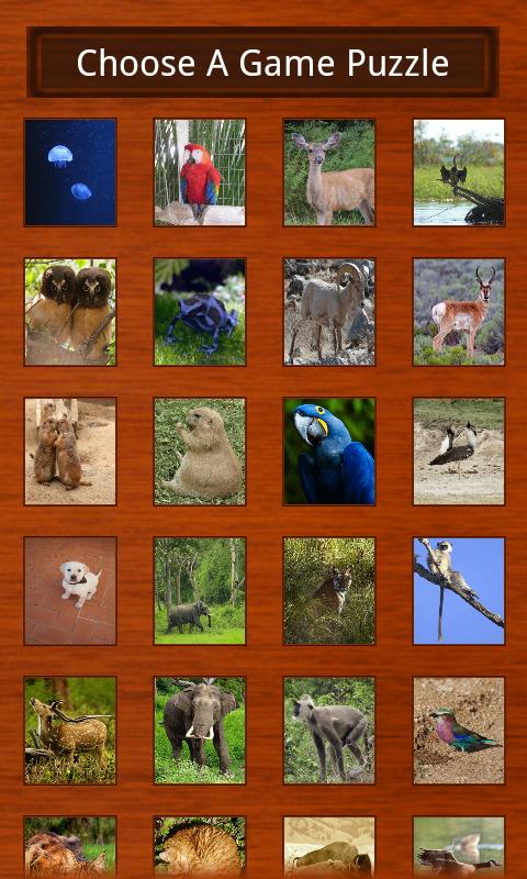 Wildlife Puzzles截图2