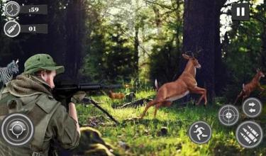 Animal Hunting Mission : African Wildlife Survival截图5