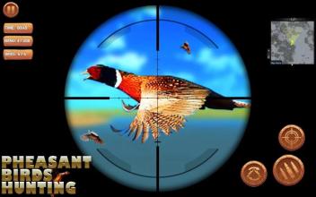 Pheasant Bird Hunting: Wings Sniper Shooting 2018截图2