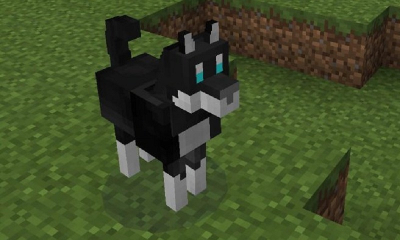 Dogs Mod for MCPE截图1