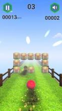 Crazy Ball Racing :3d Free Racing Game截图2