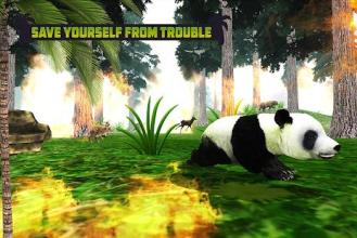 Panda Family Fun: Jungle Survival截图1