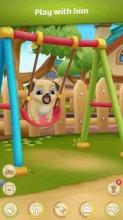 My Virtual Pet Dog * Louie the Pug截图3