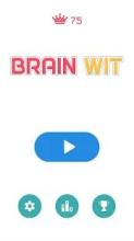 Brain Wit : Training Puzzle On截图5