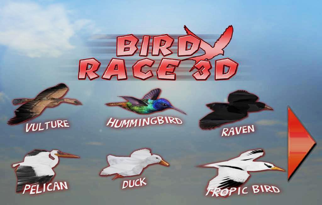 Bird Race 3D截图2