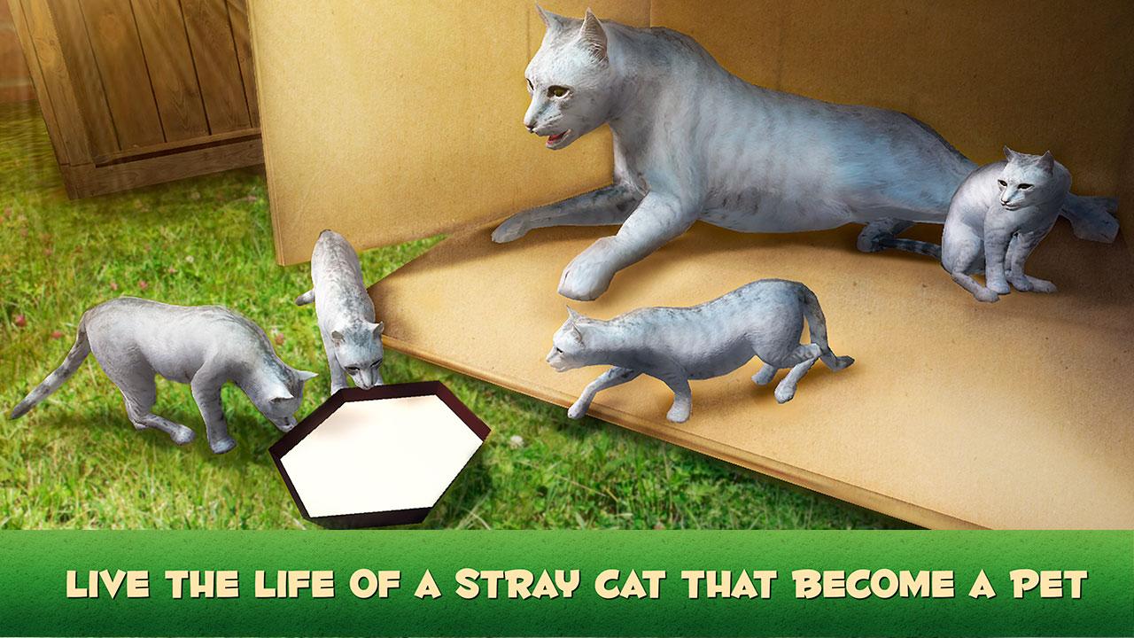 Home Cat Survival Simulator 3D截图5