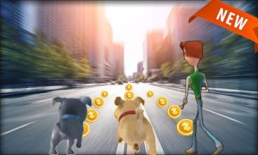 puppy dog free pals run games截图5