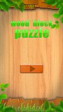 Block Color Wood Puzzle截图2