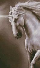 Unicorn Fantasy New Jigsaw Puzzles截图4