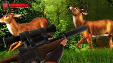 Deer Hunting American Sniper Shooting Game 2018截图4