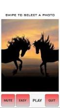 Beautiful Horse Tile Puzzle Game截图1