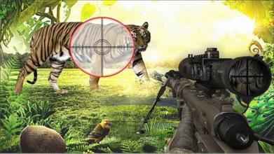 Animal shooting hunter game截图1