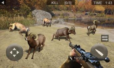 Wild Hunt Animal Shooting Sport Hunting 2018截图4