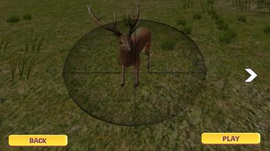 Wild Animal Hunter 3D 2018截图1