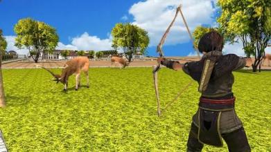 Archery Wild Animal Hunting - Safari Hunting截图2