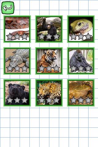 German & Puzzles: Animals截图3