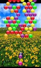 Bubble Shooter Chic截图2