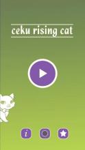 Ceku Rising Cat, Cat Protect截图3