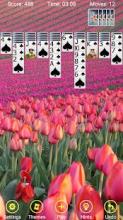 Spider Solitaire - Windows Classic截图4