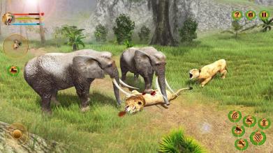 Lion Simulator Attack 3d Wild Lion Games截图2