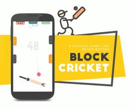 Block Cricket - 2019截图5