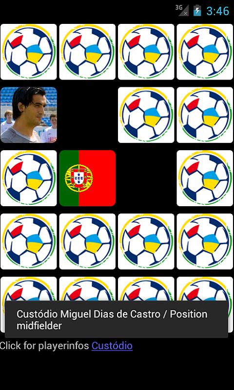 EURO2012 RaPiCa截图3