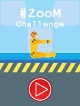 Zoom Challenge截图4