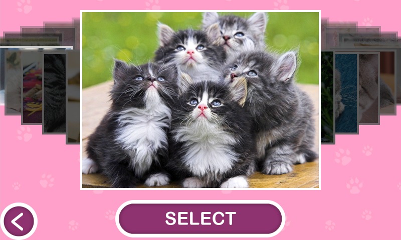 Cats - Jigsaw Puzzles截图5