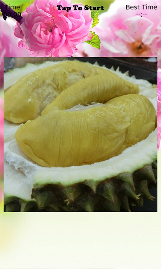 Durian Puzzle截图3